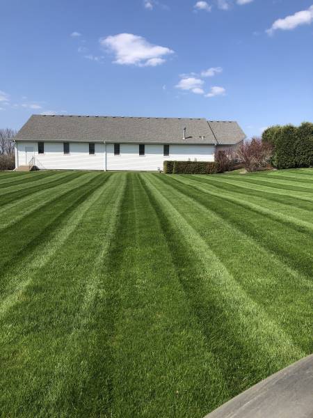 After Lawn Service image