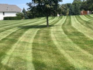 commercial lawn care example